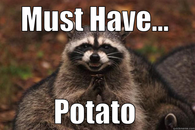 MUST HAVE... POTATO Evil Plotting Raccoon