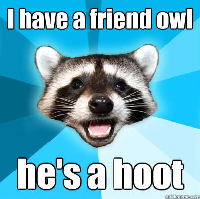 I have a friend owl he's a hoot - I have a friend owl he's a hoot  Lame Pun Coon