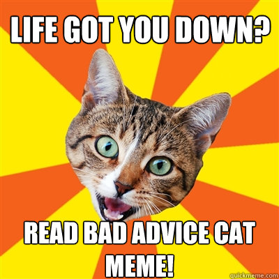 Life got you down? Read bad advice cat meme!  Bad Advice Cat