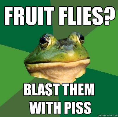 Fruit flies? blast them
 with piss - Fruit flies? blast them
 with piss  Foul Bachelor Frog