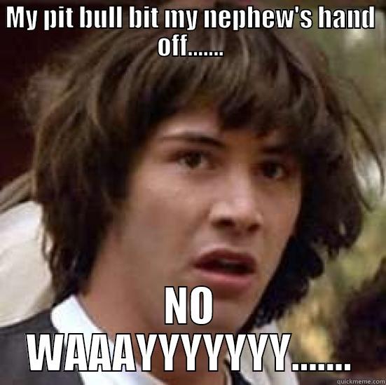 MY PIT BULL BIT MY NEPHEW'S HAND OFF....... NO WAAAYYYYYYY....... conspiracy keanu