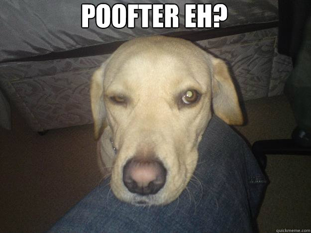 Poofter Eh? - Poofter Eh?  Poofter Eh