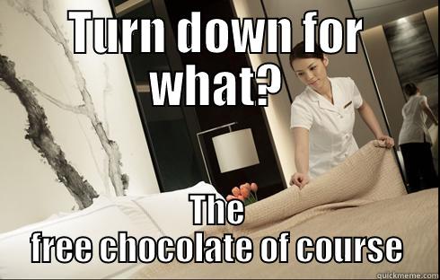 TURN DOWN FOR WHAT? THE FREE CHOCOLATE OF COURSE Misc