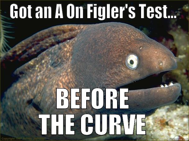 GOT AN A ON FIGLER'S TEST... BEFORE THE CURVE Bad Joke Eel