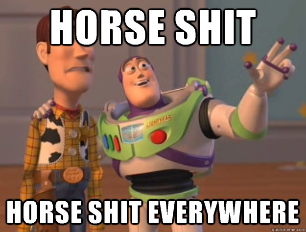 Horse shit Horse shit everywhere  Toy Story