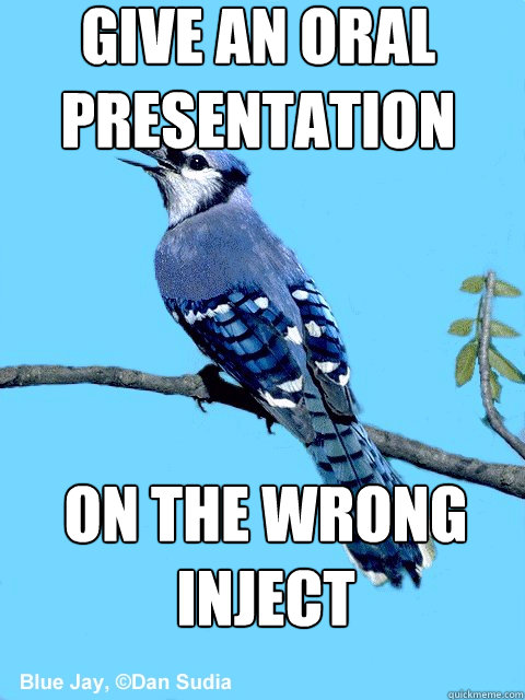 give an oral presentation on the wrong inject  Blue Team Bird