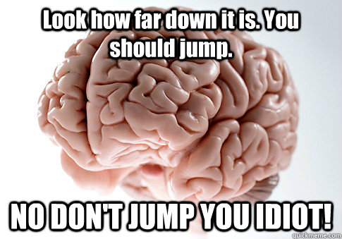 Look how far down it is. You should jump. NO DON'T JUMP YOU IDIOT!  - Look how far down it is. You should jump. NO DON'T JUMP YOU IDIOT!   Scumbag Brain