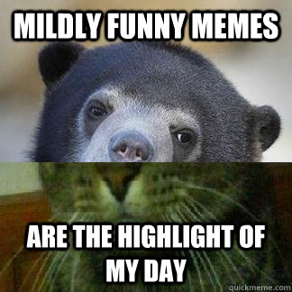 mildly funny memes are the highlight of my day - mildly funny memes are the highlight of my day  depressed confession bear