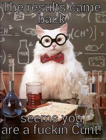 THE RESULTS CAME BACK SEEMS YOU ARE A FUCKIN CUNT! Chemistry Cat