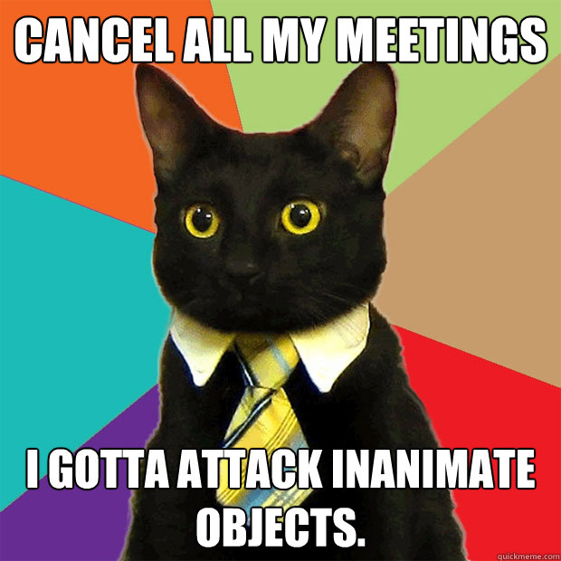 Cancel all my meetings i gotta attack inanimate objects.  Business Cat