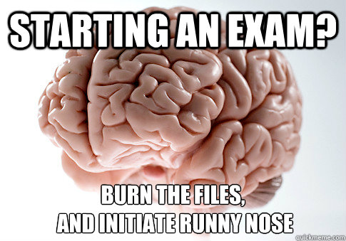 starting an exam? Burn the files,
 and initiate runny nose  Scumbag Brain