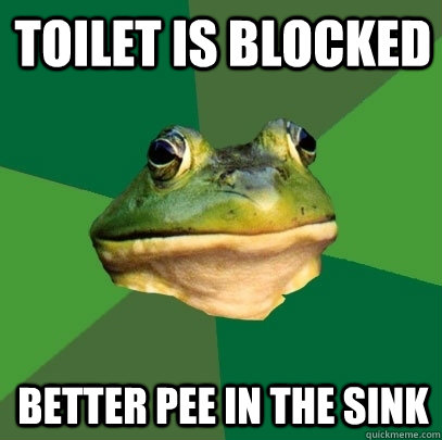 Toilet is blocked Better pee in the sink  Foul Bachelor Frog