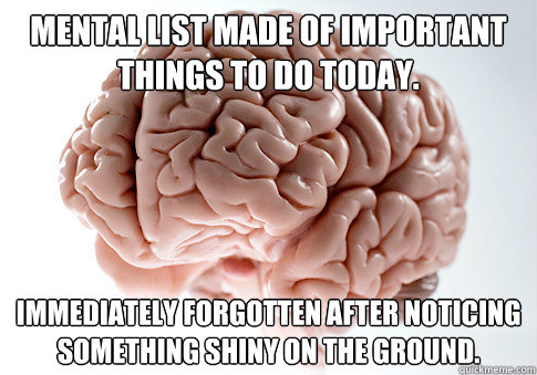 Mental list made of important things to do today. Immediately forgotten after noticing something shiny on the ground.  Scumbag Brain