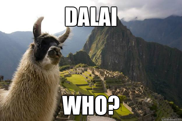 Dalai Who?  Stoked llama