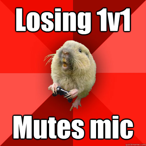 Losing 1v1 Mutes mic  Gaming Gopher