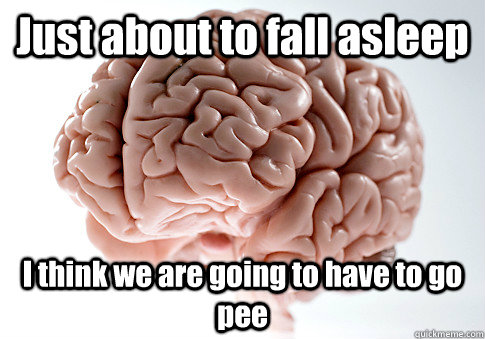 Just about to fall asleep I think we are going to have to go pee  Scumbag Brain