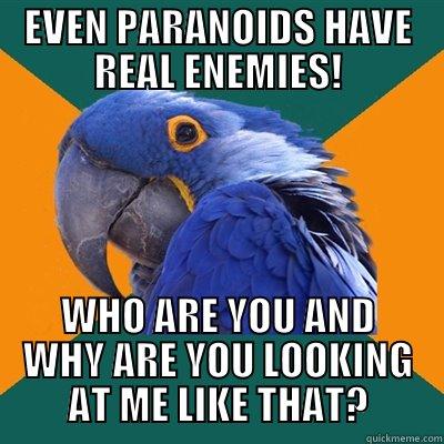 REAL ENEMIES - EVEN PARANOIDS HAVE REAL ENEMIES! WHO ARE YOU AND WHY ARE YOU LOOKING AT ME LIKE THAT? Paranoid Parrot