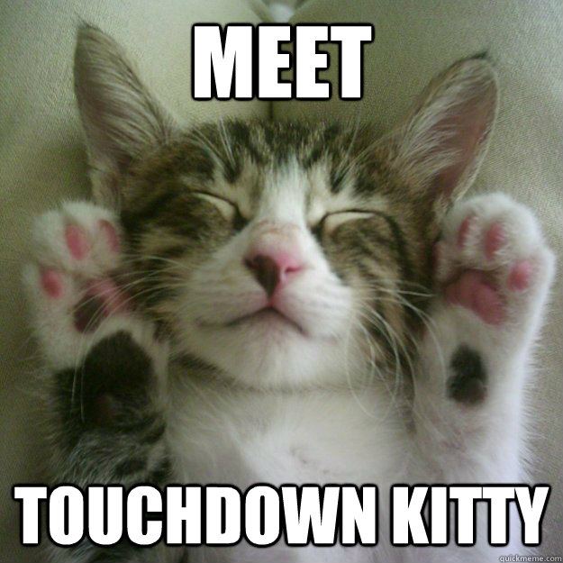 Meet Touchdown Kitty - Meet Touchdown Kitty  TDKitty