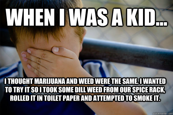 WHEN I WAS A KID... I thought marijuana and weed were the same. I wanted to try it so i took some dill weed from our spice rack, rolled it in toilet paper and attempted to smoke it.   Confession kid