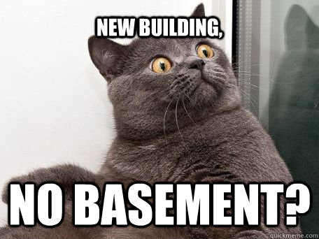 New building, NO BASEMENT?  conspiracy cat