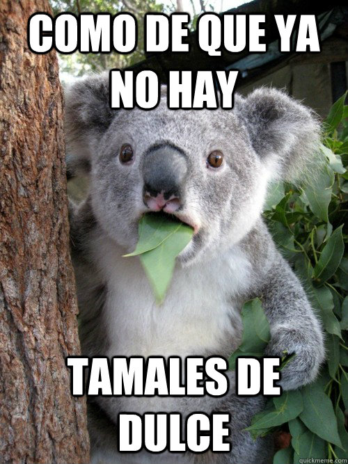 Como de que ya no hay  tamales de dulce  Surprised Koala