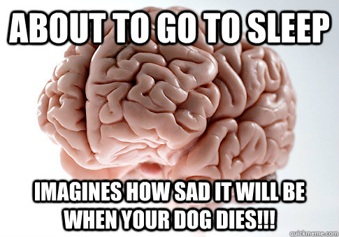 About to go to sleep Imagines how sad it will be when your dog dies!!!  Scumbag Brain