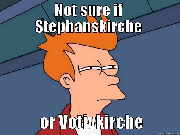 NOT SURE IF STEPHANSKIRCHE              OR VOTIVKIRCHE           Futurama Fry