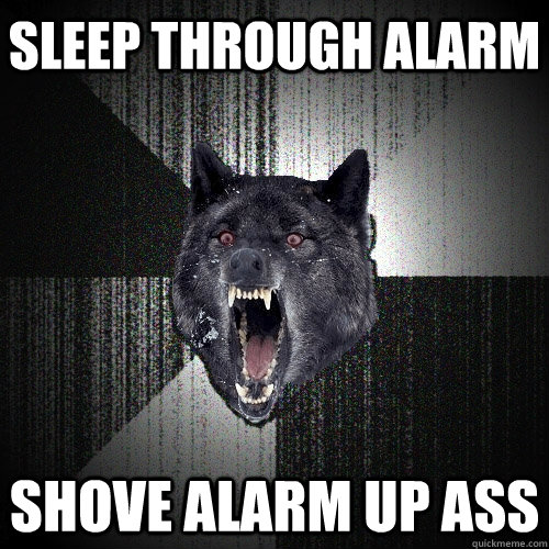 Sleep through alarm shove alarm up ass  Insanity Wolf