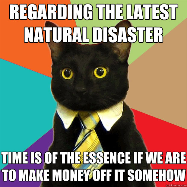 Regarding the latest natural disaster time is of the essence if we are to make money off it somehow  Business Cat