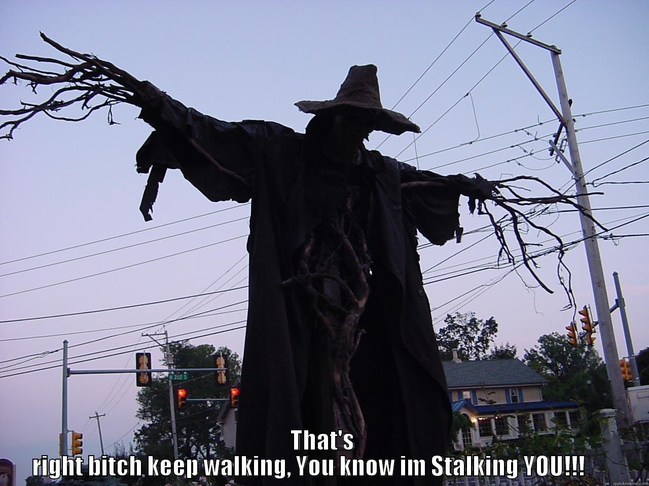 Stalker Scarecrow -  THAT'S RIGHT BITCH KEEP WALKING, YOU KNOW IM STALKING YOU!!!       Misc