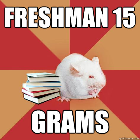 Freshman 15 grams - Freshman 15 grams  Science Major Mouse