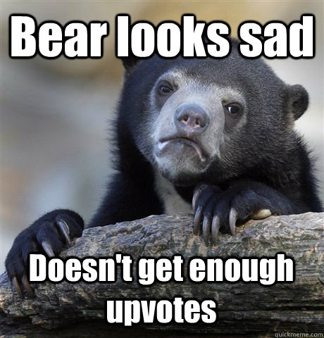 Bear looks sad Doesn't get enough upvotes  Confession Bear