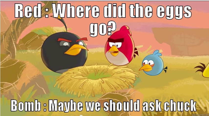 Where are our eggs - RED : WHERE DID THE EGGS GO? BOMB : MAYBE WE SHOULD ASK CHUCK Misc