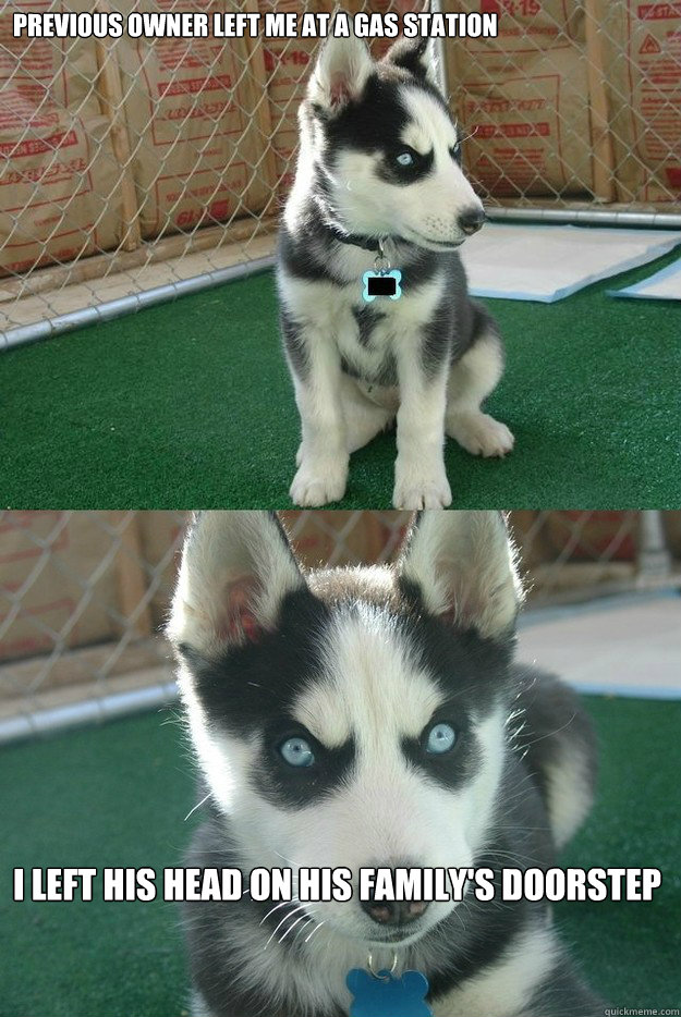 Previous owner left me at a gas station I left his head on his family's doorstep   Insanity puppy