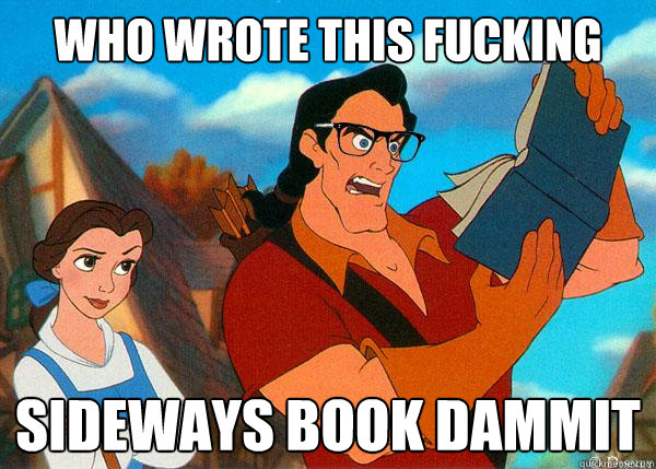 who wrote this fucking sideways book dammit  Hipster Gaston