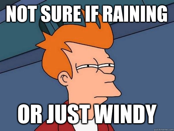 Not sure if raining Or just windy  Futurama Fry