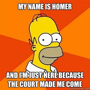 my name is homer and i'm just here because the court made me come  Advice Homer