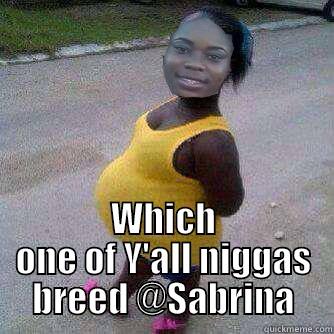 Sabrina the bitch -  WHICH ONE OF Y'ALL NIGGAS BREED @SABRINA Misc