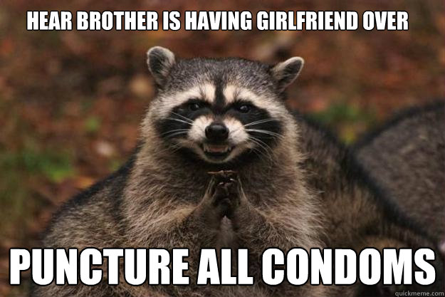 Hear brother is having girlfriend over Puncture all condoms - Hear brother is having girlfriend over Puncture all condoms  Evil Plotting Raccoon