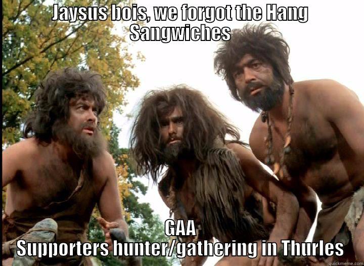 JAYSUS BOIS, WE FORGOT THE HANG SANGWICHES GAA SUPPORTERS HUNTER/GATHERING IN THURLES Misc