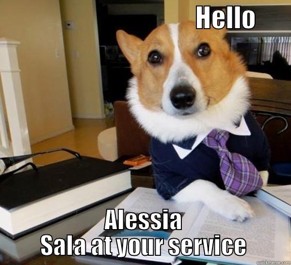                                        HELLO      ALESSIA SALA AT YOUR SERVICE Lawyer Dog