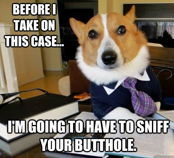 Before I take on this case... I'm going to have to sniff your butthole.  Lawyer Dog