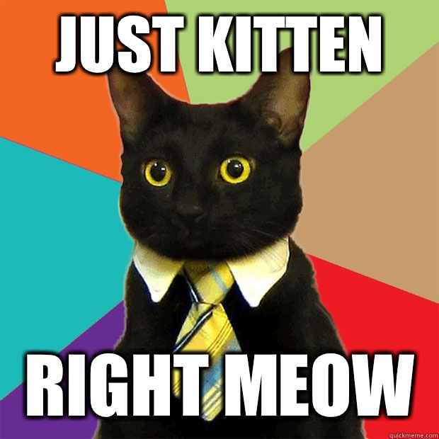 Just kitten Right meow  Business Cat