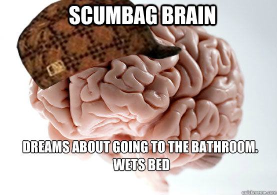 Scumbag Brain Dreams about going to the bathroom.
 Wets Bed  Scumbag Brain