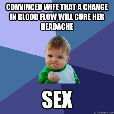 Convinced wife that a change in blood flow will cure her headache sex - Convinced wife that a change in blood flow will cure her headache sex  Success Kid