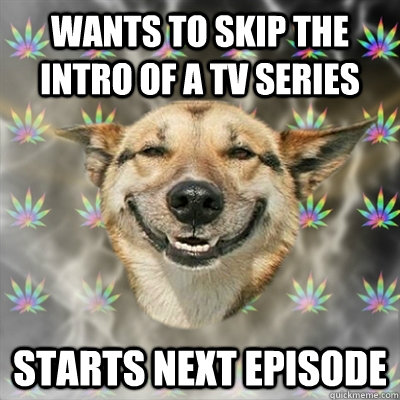 wants to skip the intro of a tv series starts next episode   Stoner Dog