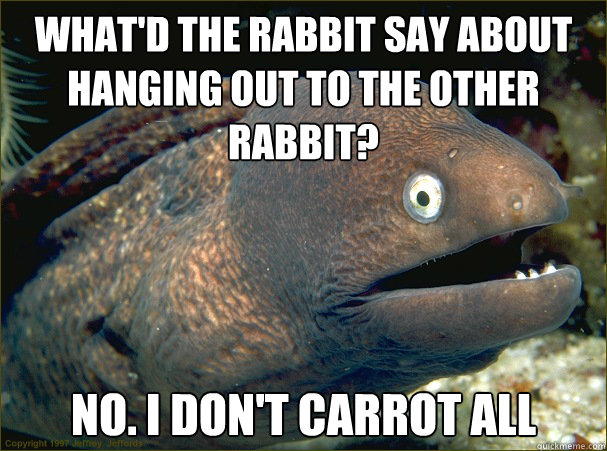 What'd the rabbit say about hanging out to the other rabbit? No. I don't carrot all  Bad Joke Eel