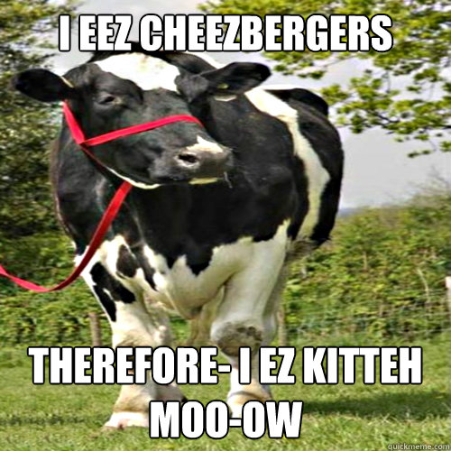 i eez cheezbergers therefore- i ez kitteh
moo-ow  moo cat