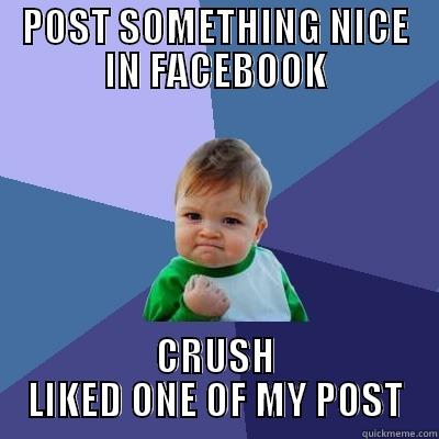 And that was the day I didn't eat - POST SOMETHING NICE IN FACEBOOK CRUSH LIKED ONE OF MY POST Success Kid