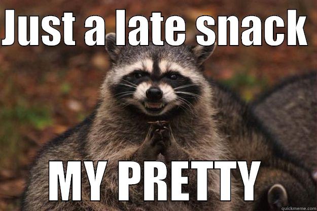 Stacy Raccoon - JUST A LATE SNACK  MY PRETTY Evil Plotting Raccoon